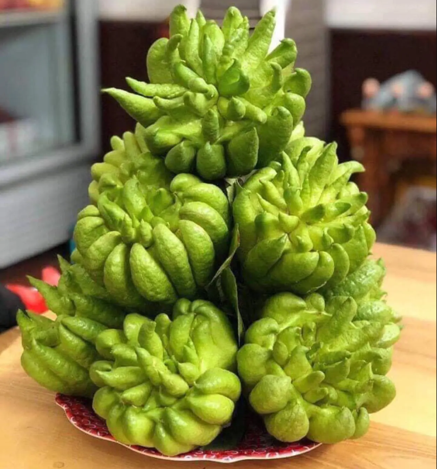 Các món ăn từ Quả Phật Thủ